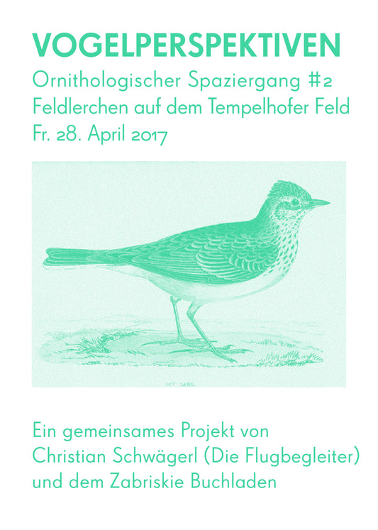 Vogelperspektiven - Ornithologischer Spaziergang #2 - Feldlerchen auf dem Tempelhofer Feld