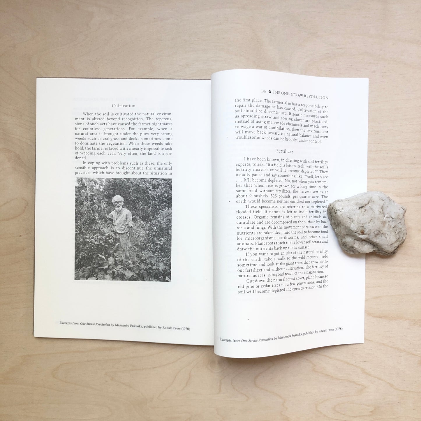 A Primitive Reader (No. 1)