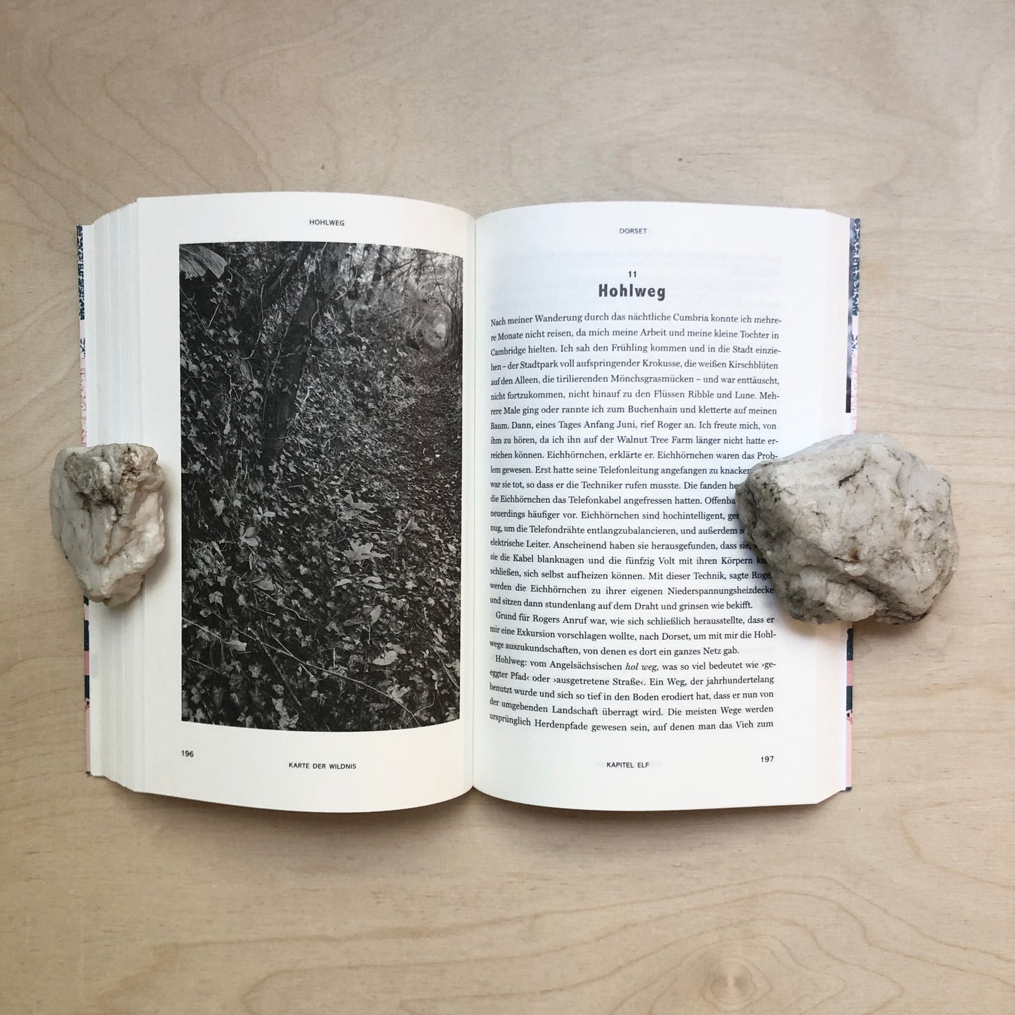 Karte der Wildnis - Taschenbuch