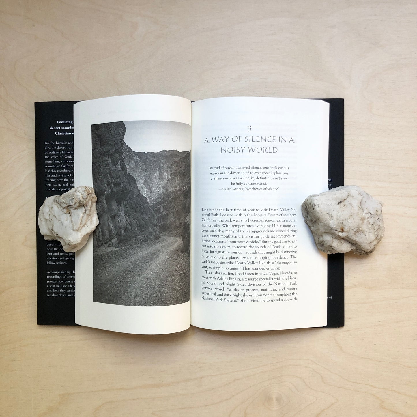 Sonorous Desert: What Deep Listening Taught Early Christian Monks—and What It Can Teach Us