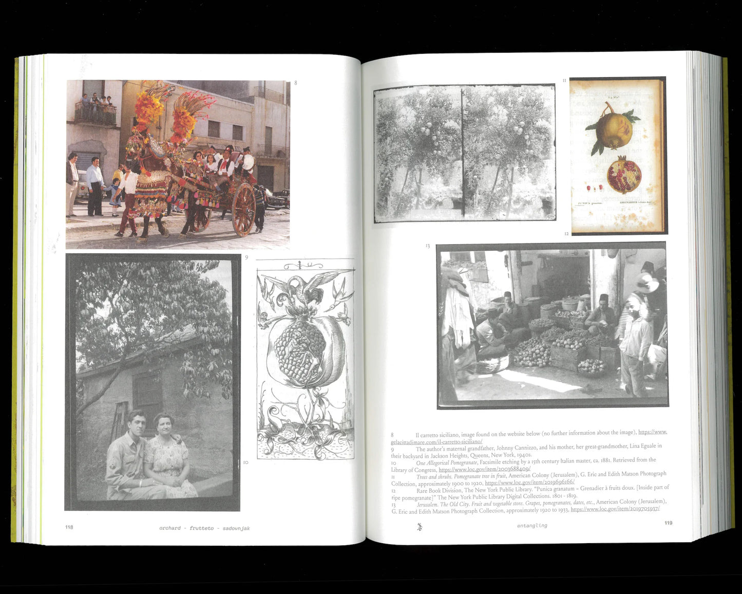 Robida Magazine Issue 11 - orchard frutteto sadovnjak