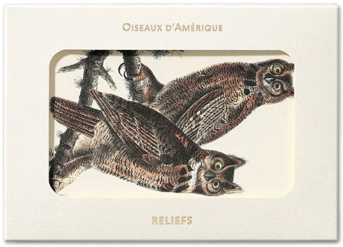 Postcards Reliefs - Birds of America Postcards 1827-1838