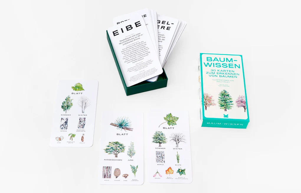 Baum-Wissen - 30 Karten zum Erkennen von Bäumen