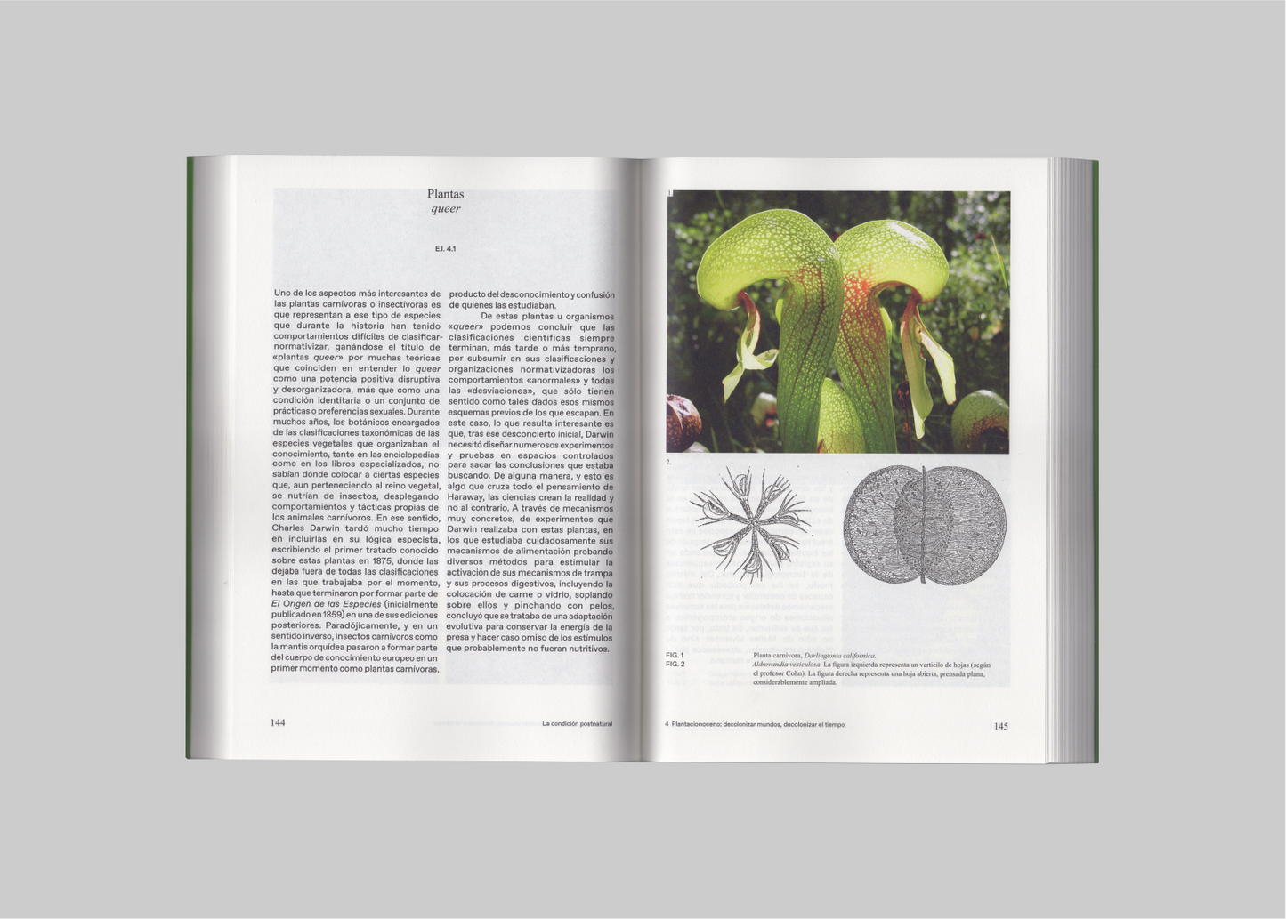 La condición postnatural - Glosario de ecologías para otros mundos