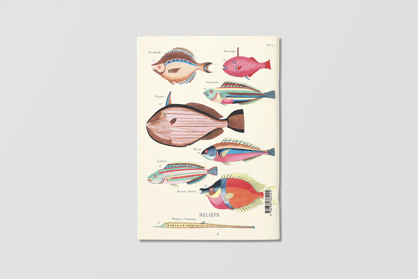 Notizbuch Reliefs - Fishes and Crabs