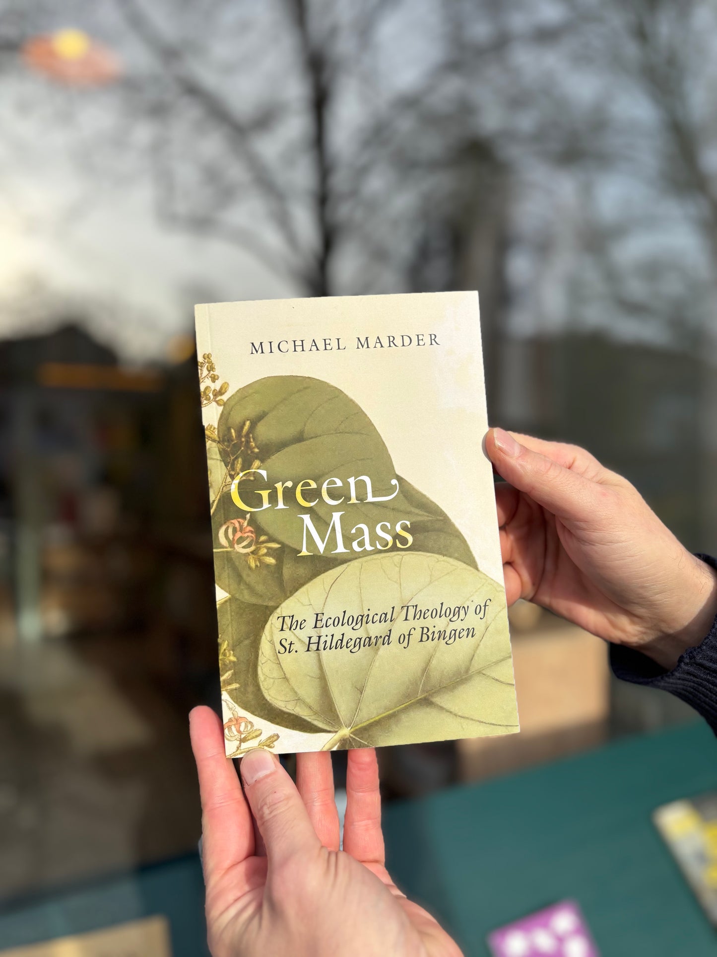 Green Mass - The Ecological Theology of St. Hildegard of Bingen