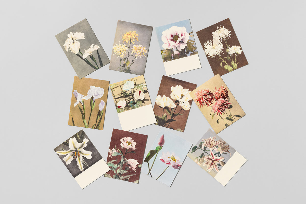 Postcards Reliefs - Japanese Flowers