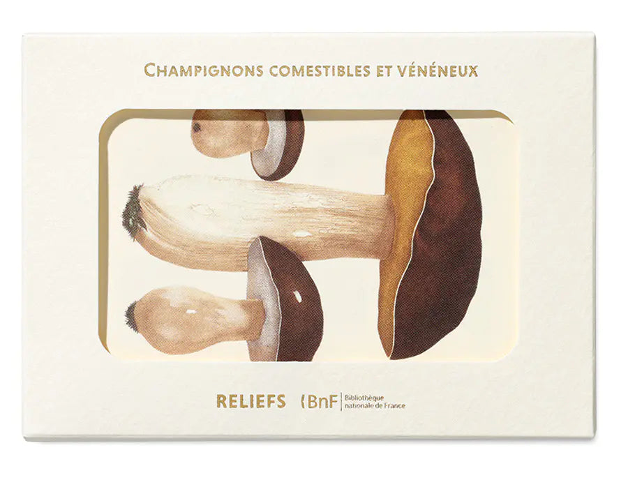 Postcards Reliefs - Edible and Poisonous Mushrooms Postcards