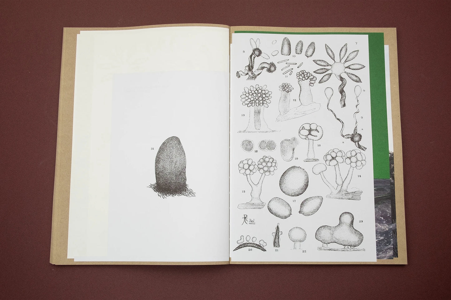 Hiske Altena – Vital Mud