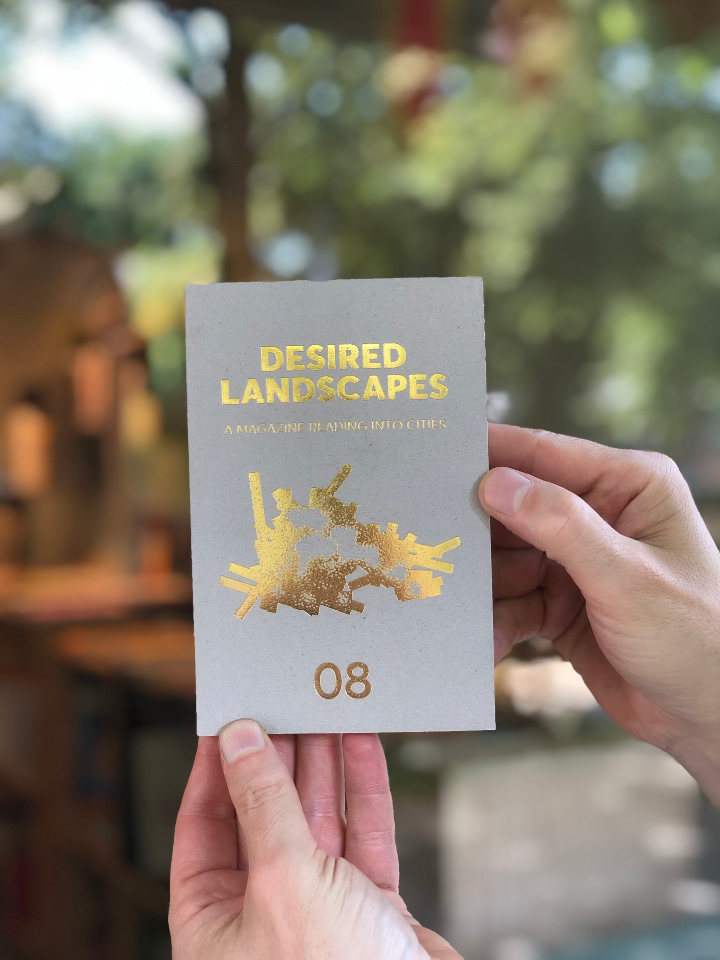 Desired Landscapes, Issue 08