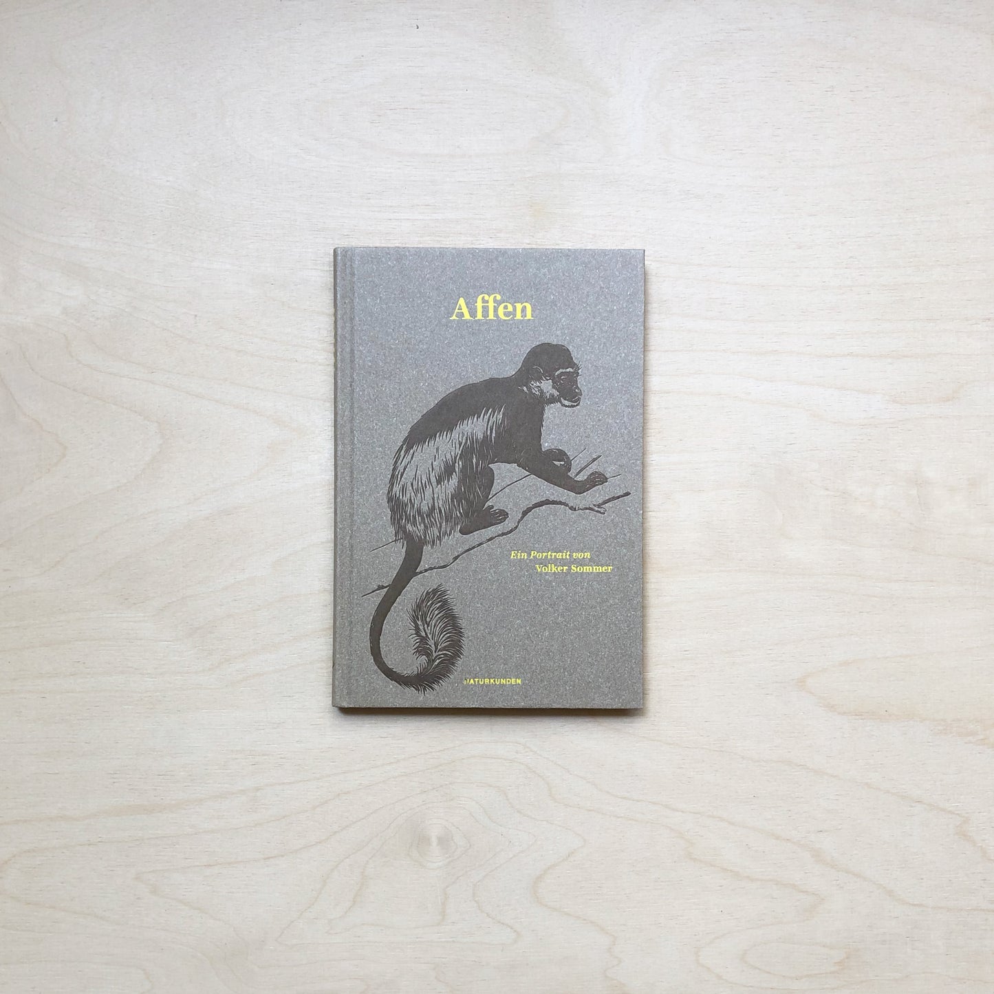 Affen - Ein Portrait