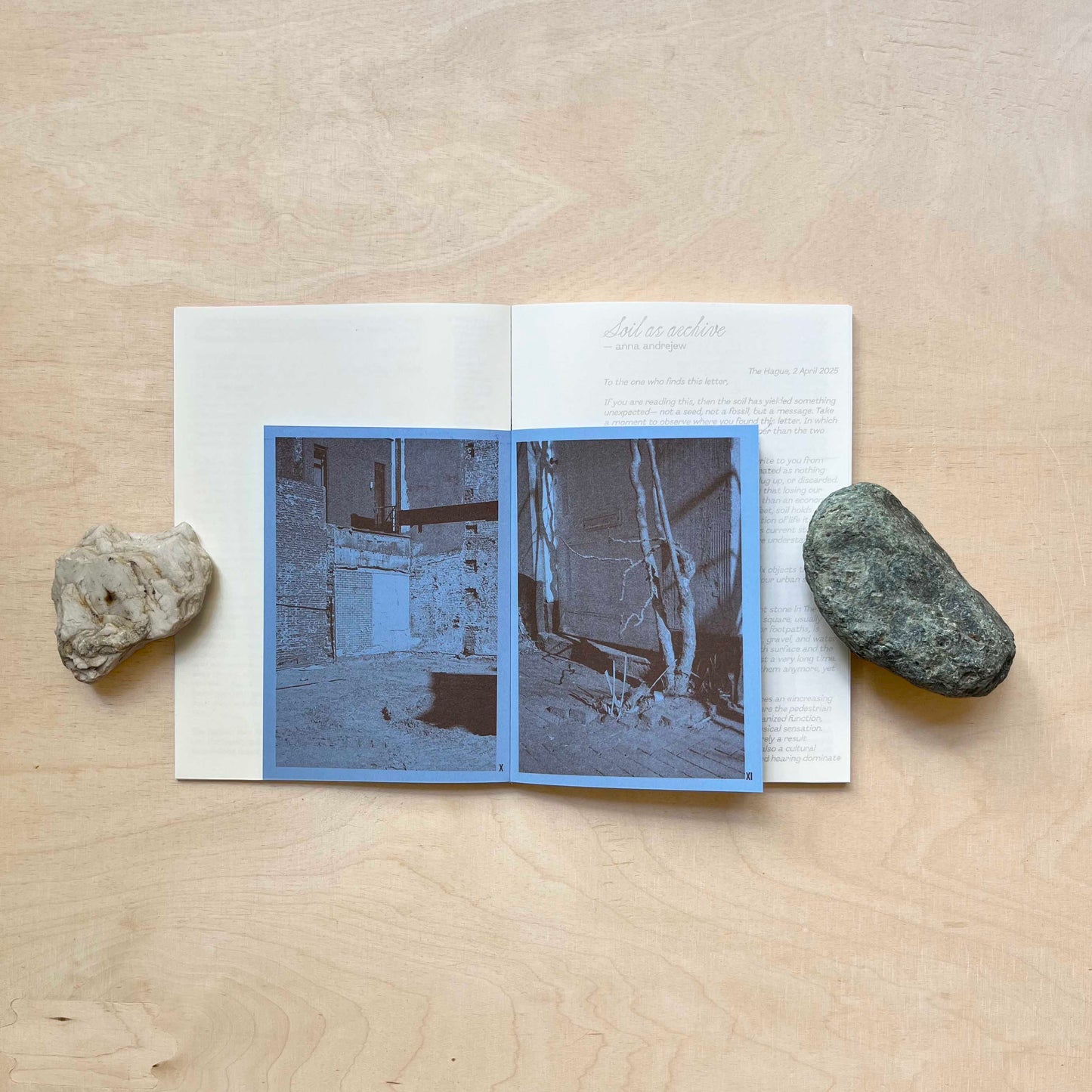 Letters to A Grieving Land - A collection of essays