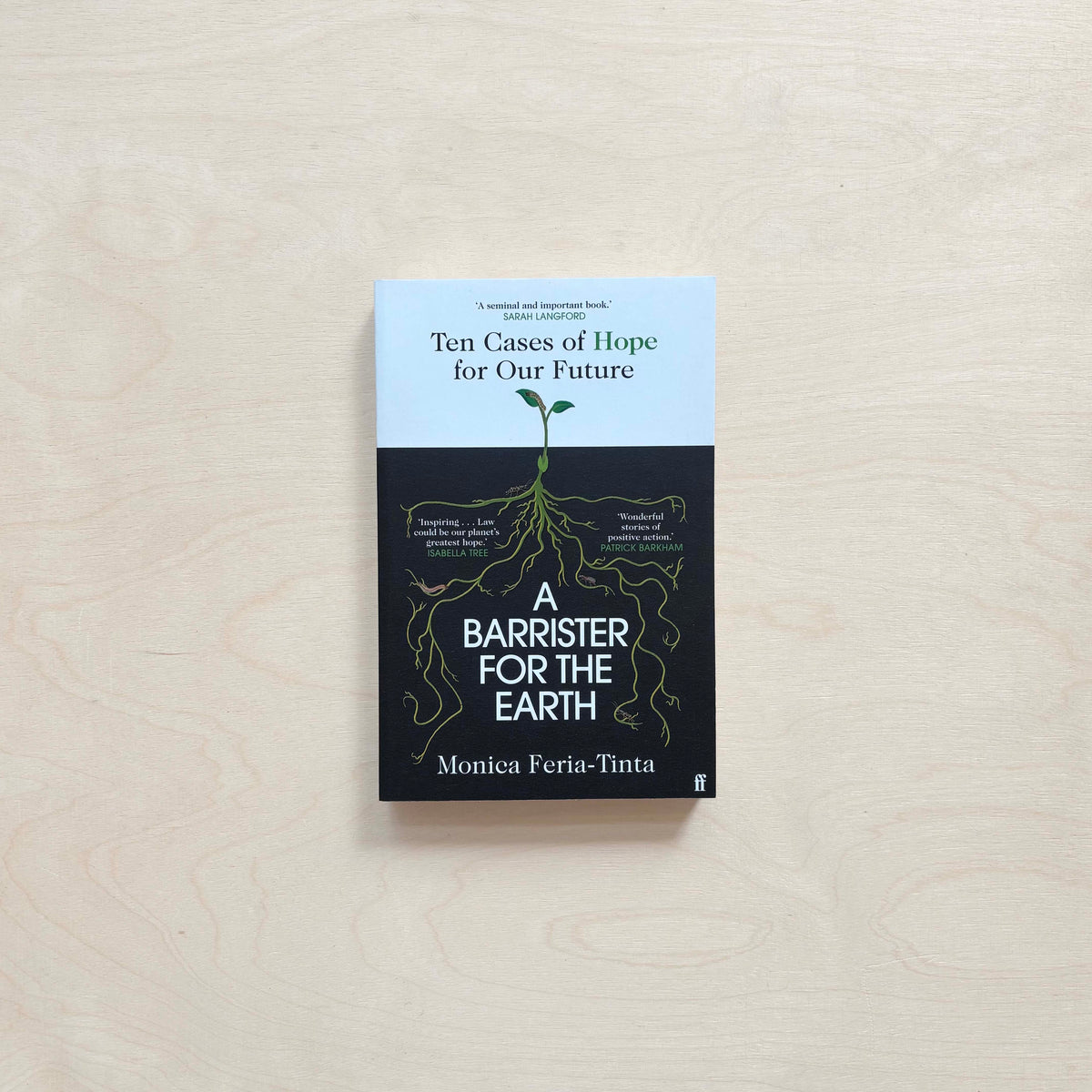 A Barrister for the Earth: Ten Cases of Hope for Our Future - Paperback