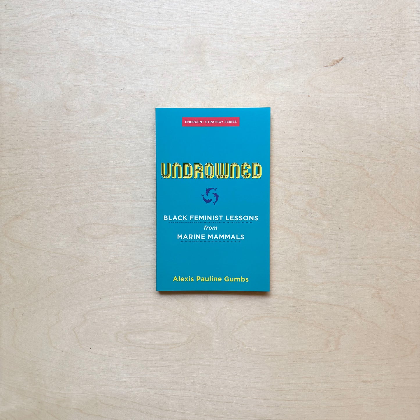 Undrowned - Black Feminist Lessons from Marine Mammals