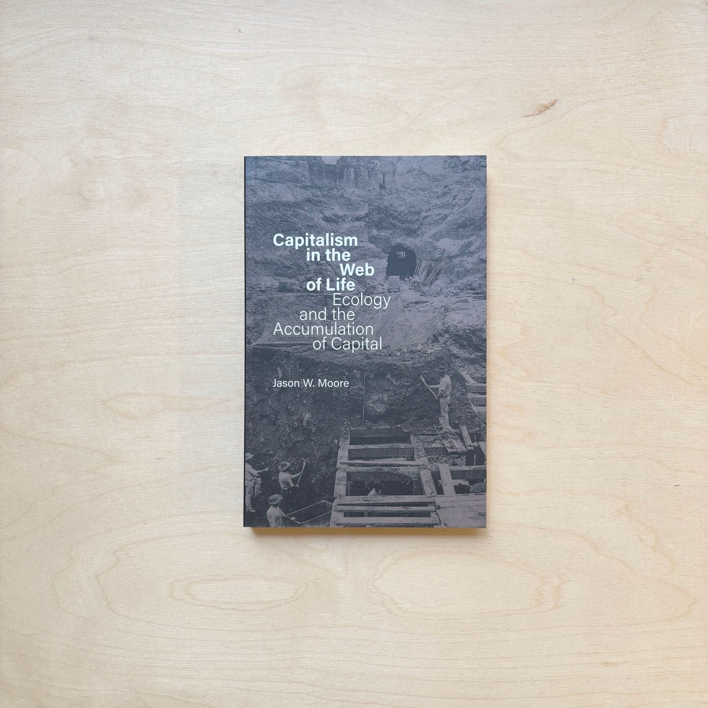 Capitalism in the Web of Life: Ecology and the Accumulation of Capital (new edition)