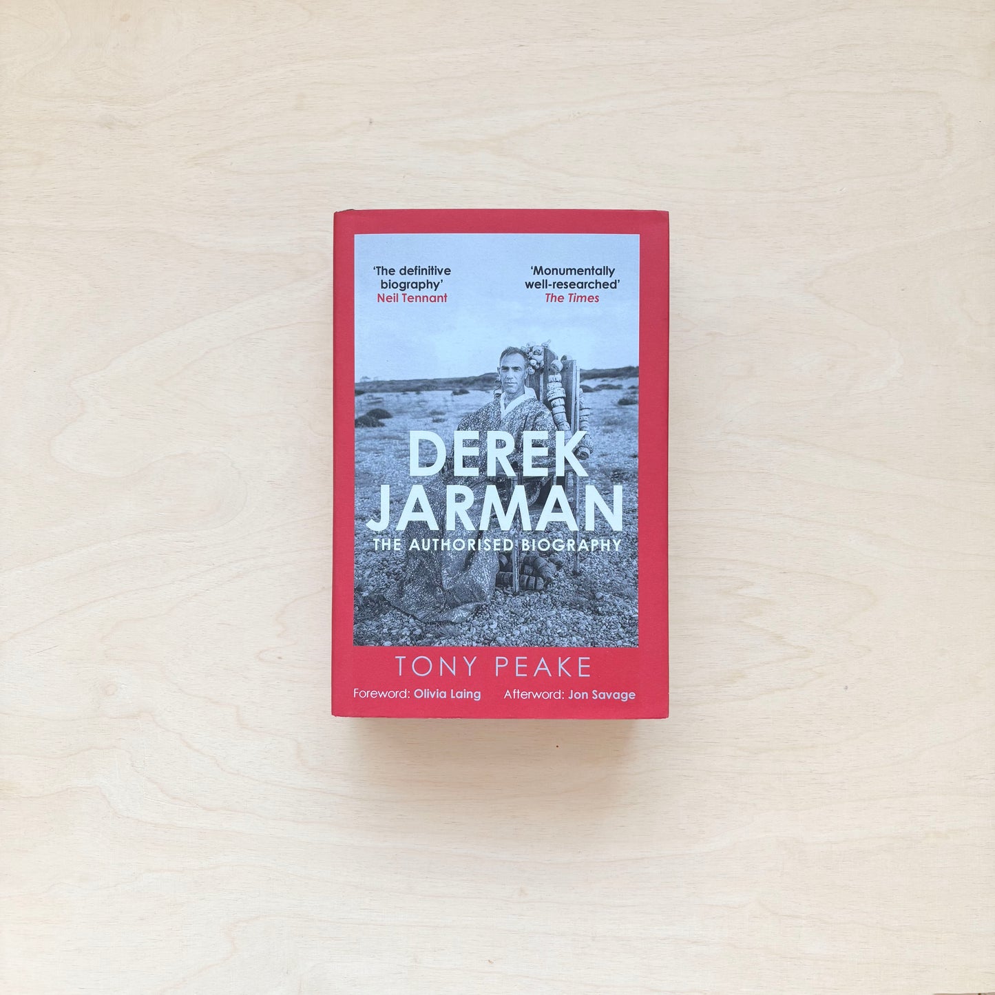 Derek Jarman - The Authorised Biography