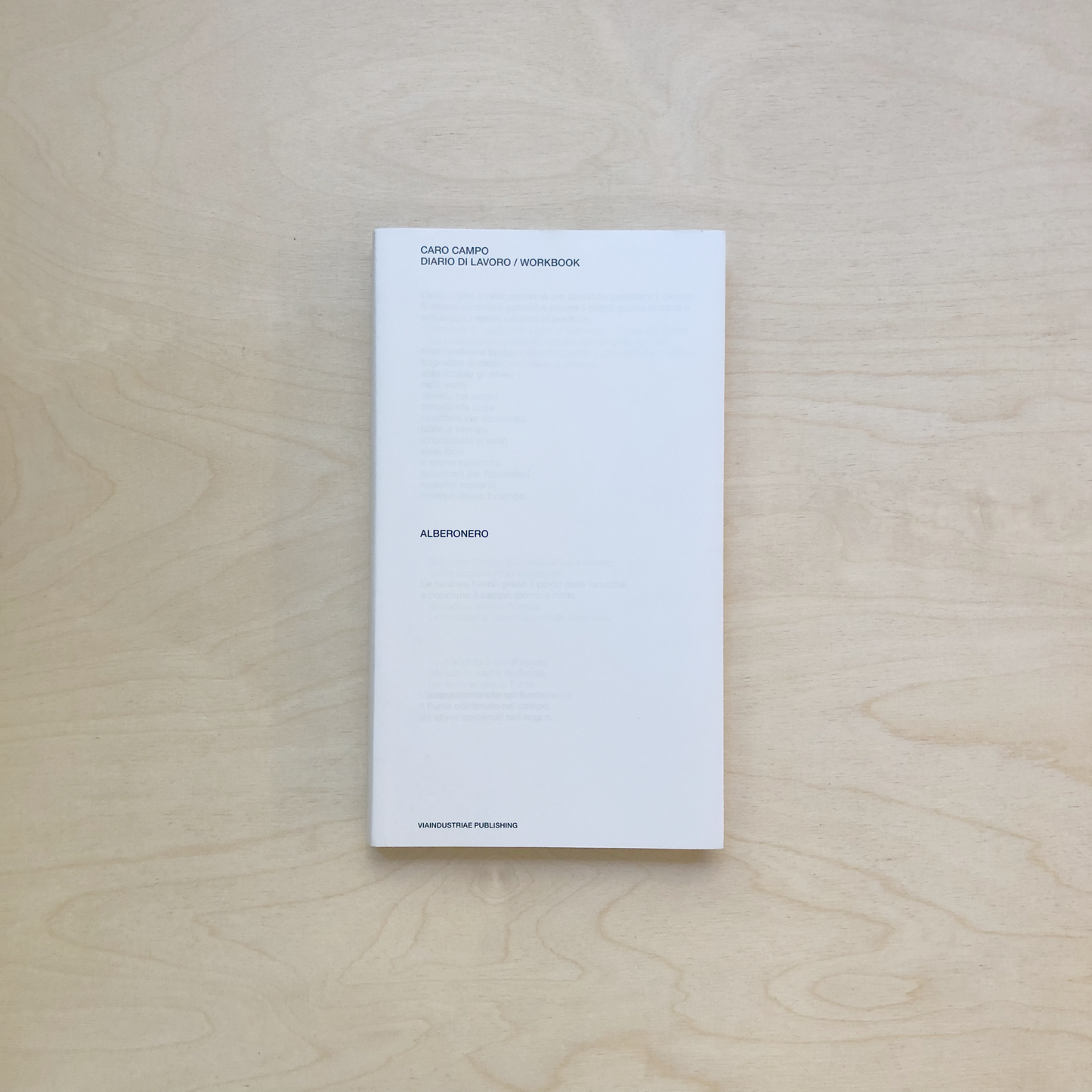 Diario di Lavoro / Workbook