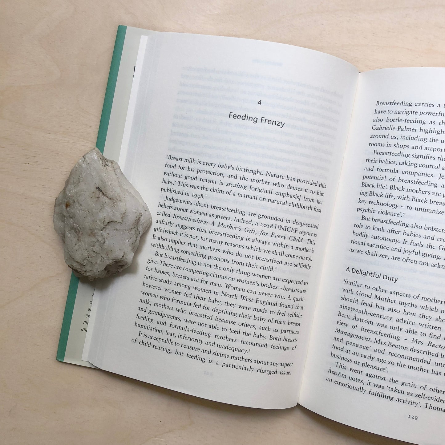 Motherdom - Breaking Free from Bad Science and Good Mother Myths