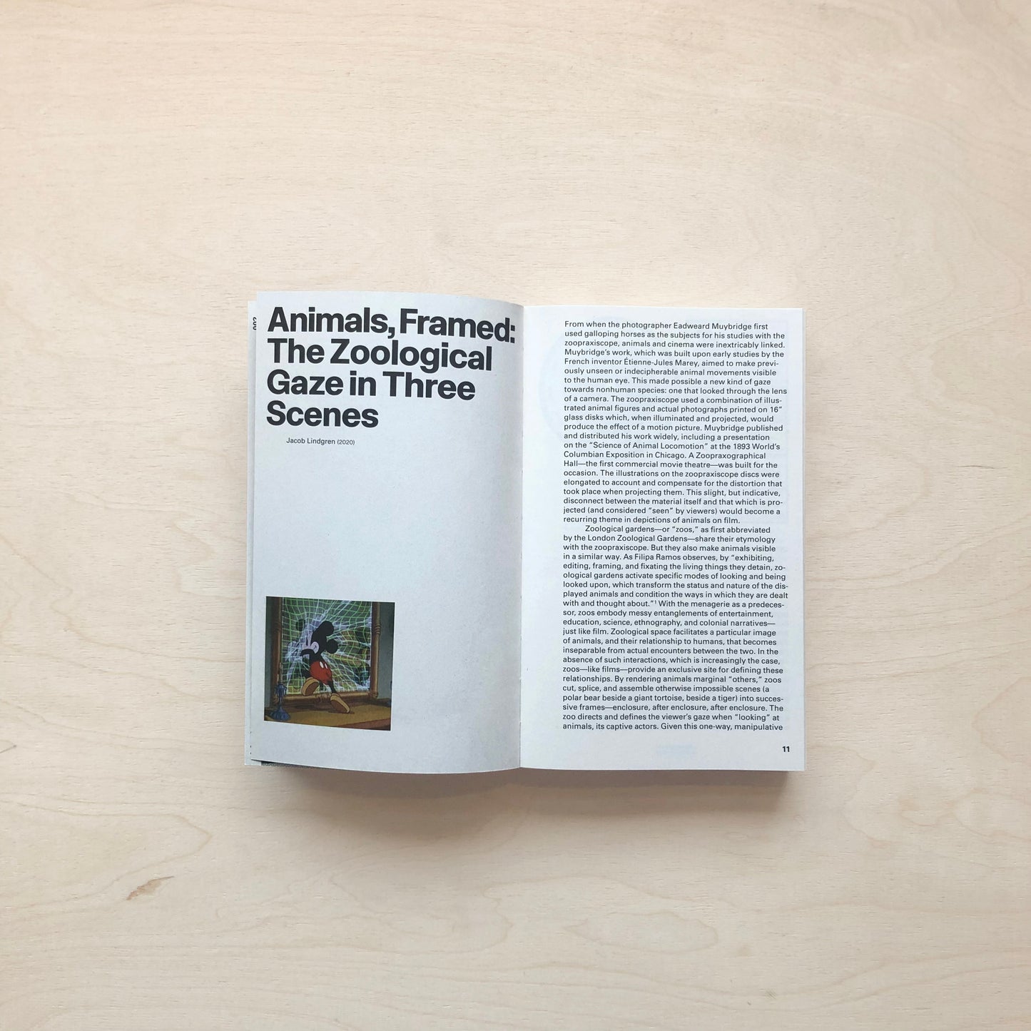 Zoo Index Reader (volume 1)