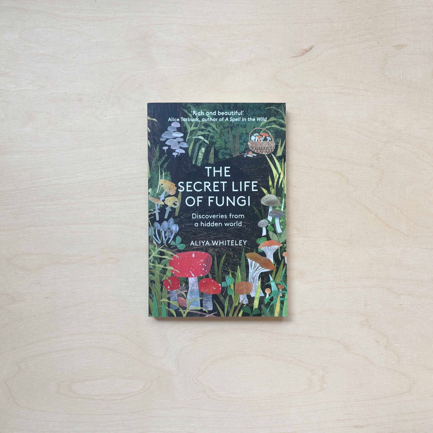 The Secret Life of Fungi - Discoveries From a Hidden World - Paperback