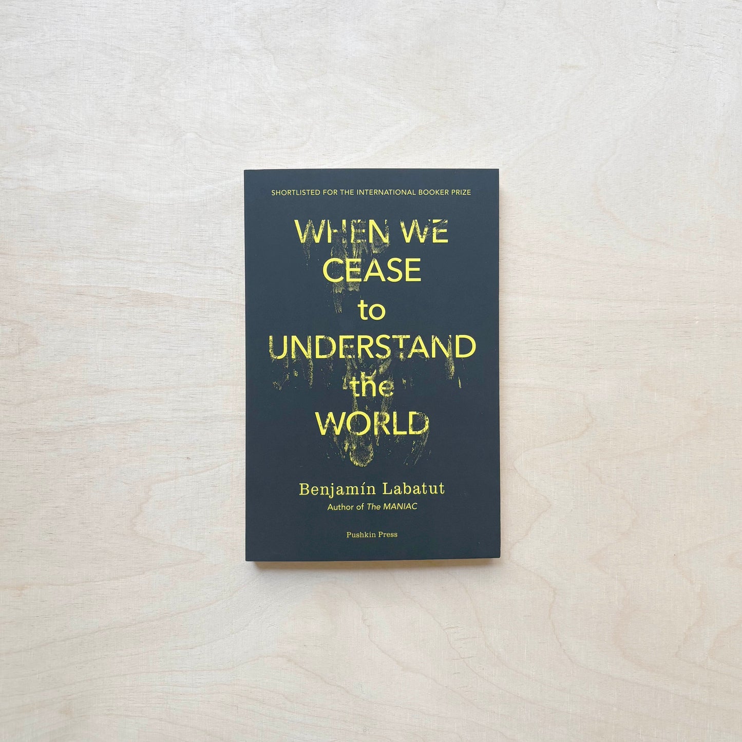 When We Cease to Understand the World