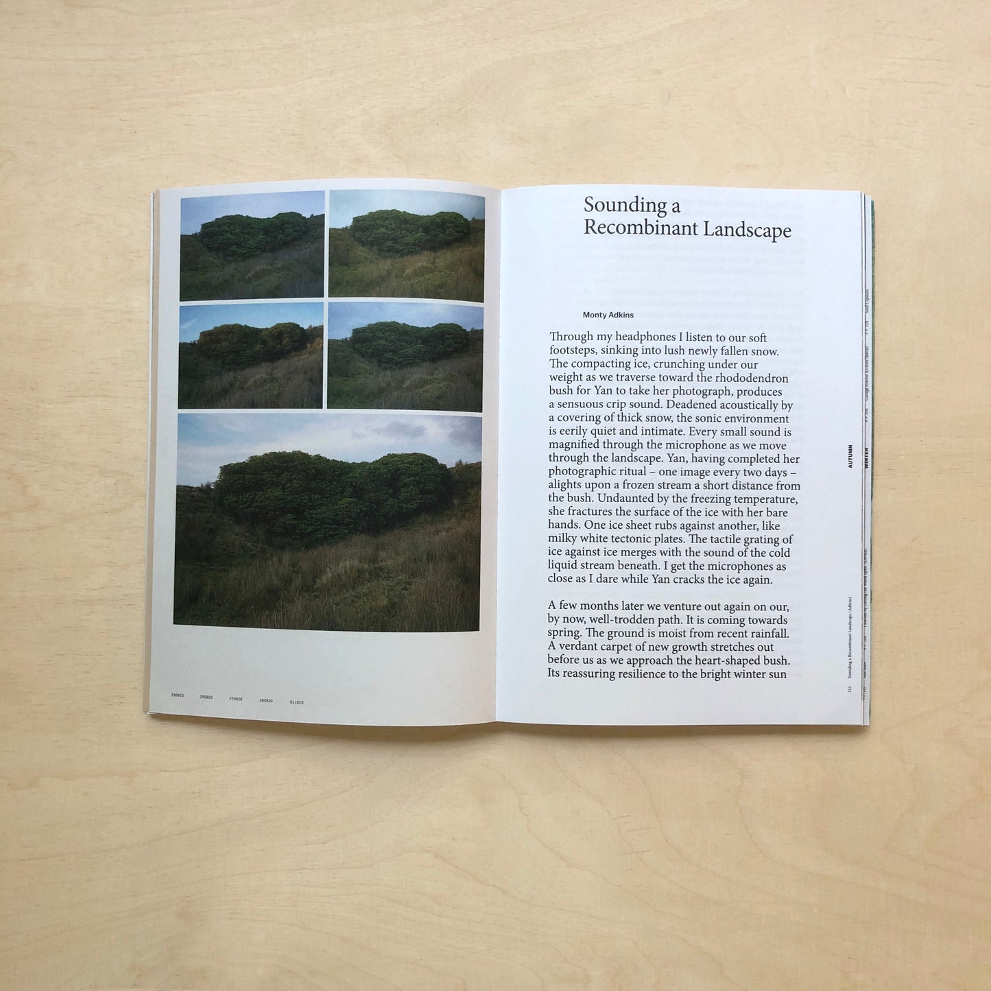 With Love. From an Invader. – Rhododendrons, Empire, China and Me