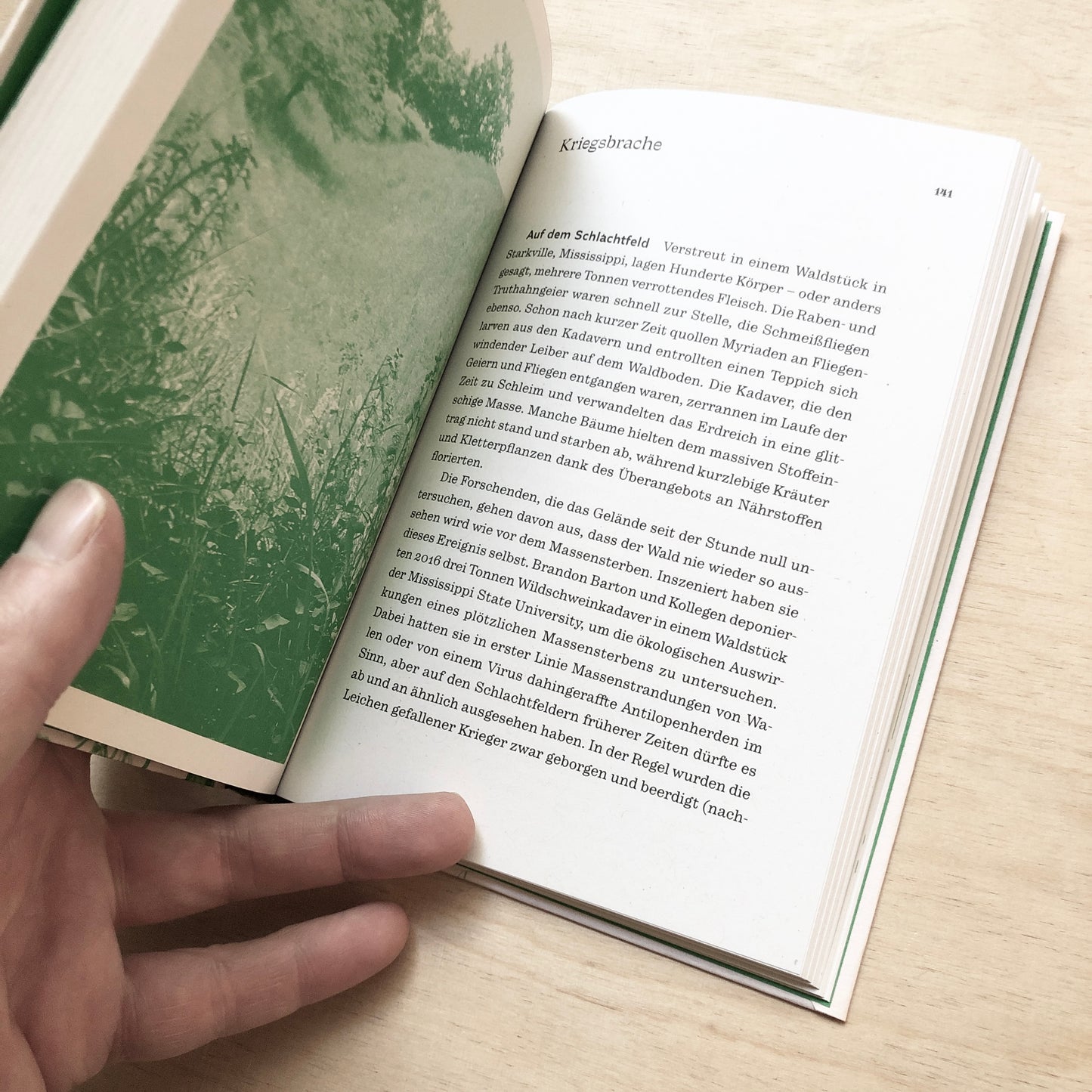 Acker, Baulücke, Deponie - Ein Brachenatlas