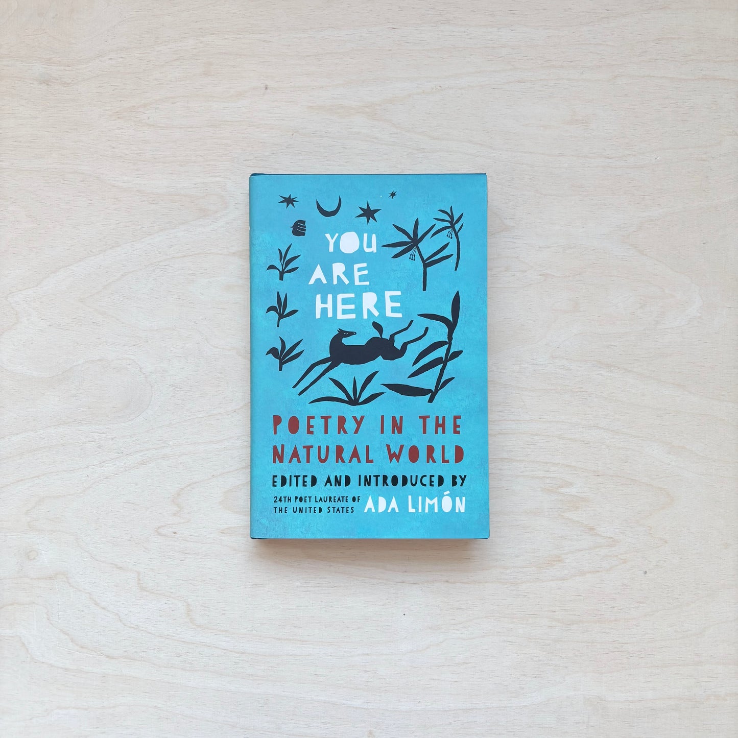 You Are Here - Poetry in the Natural World