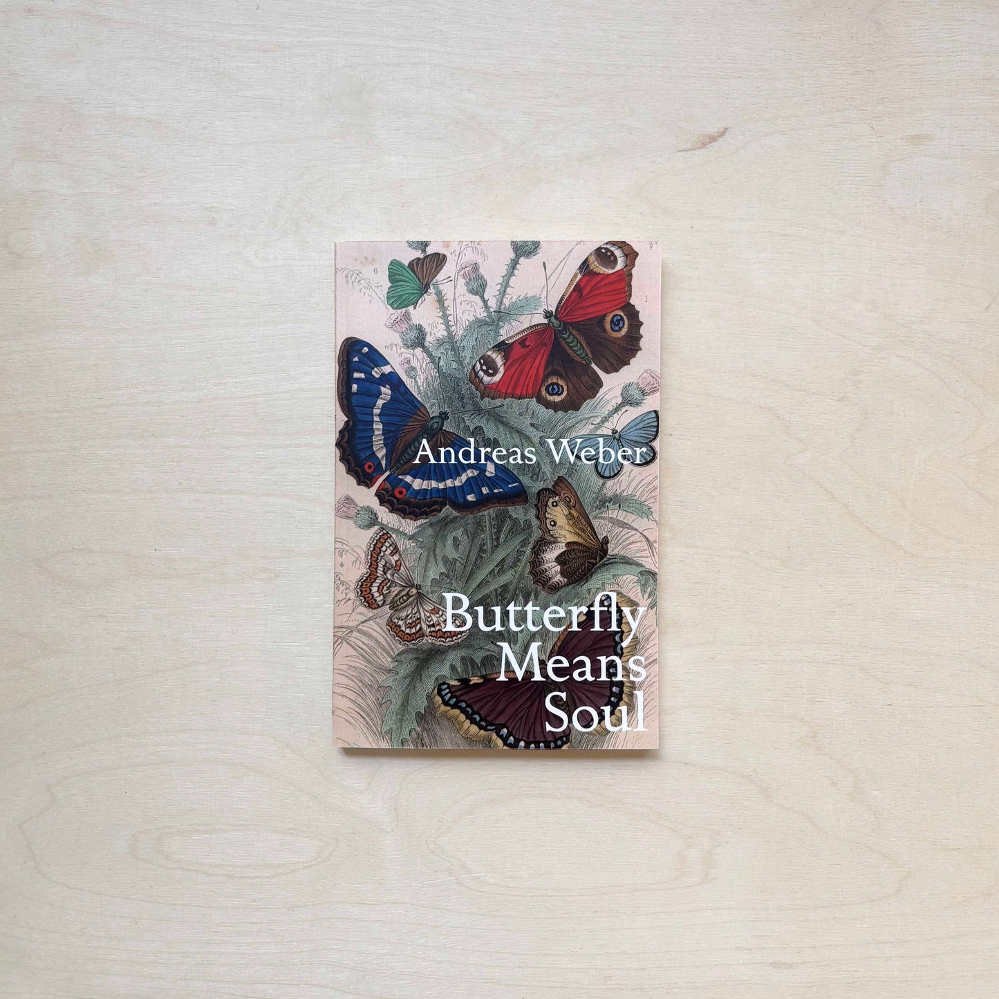 Butterfly Means Soul