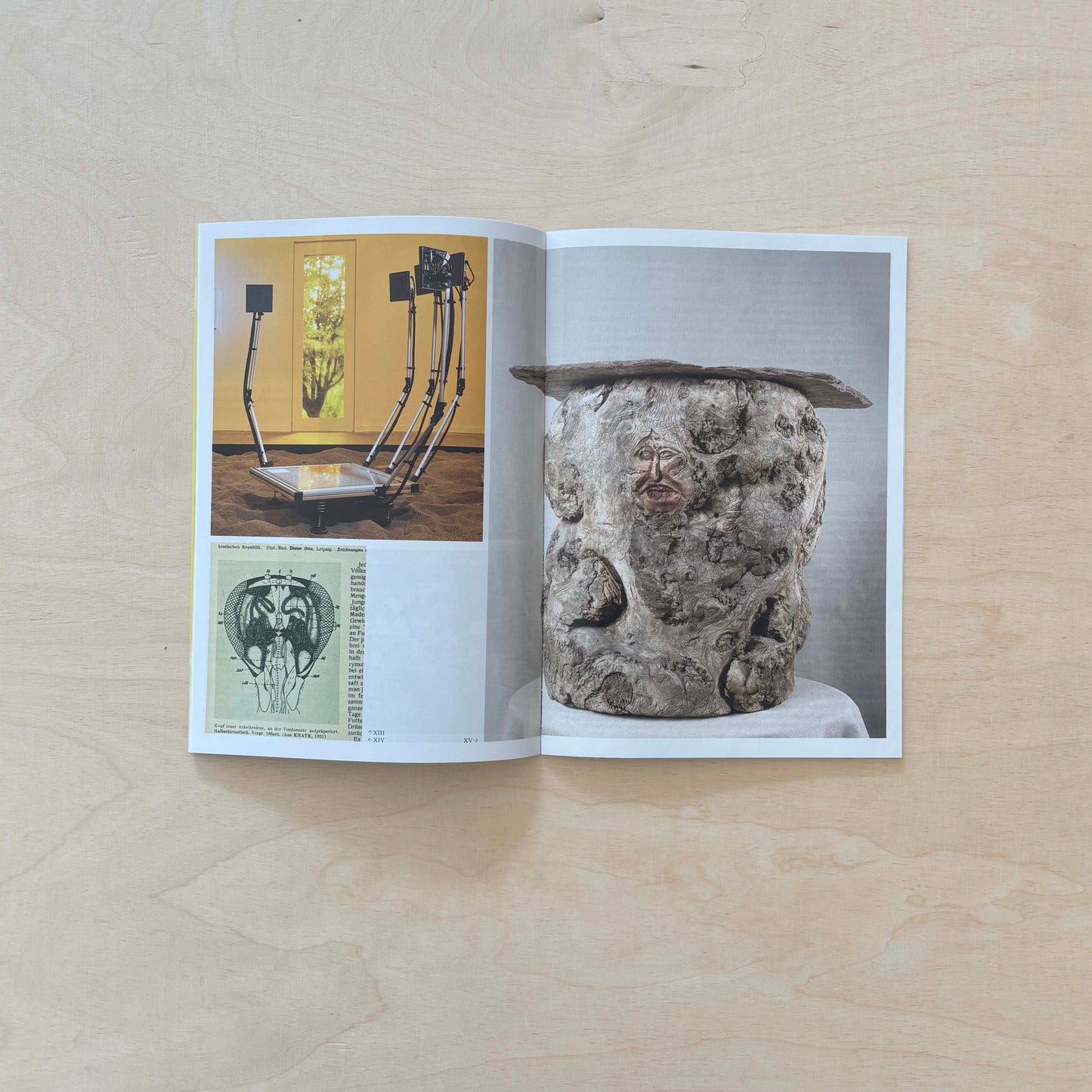 Apian Gazette - Vol. 02 - Special Issue