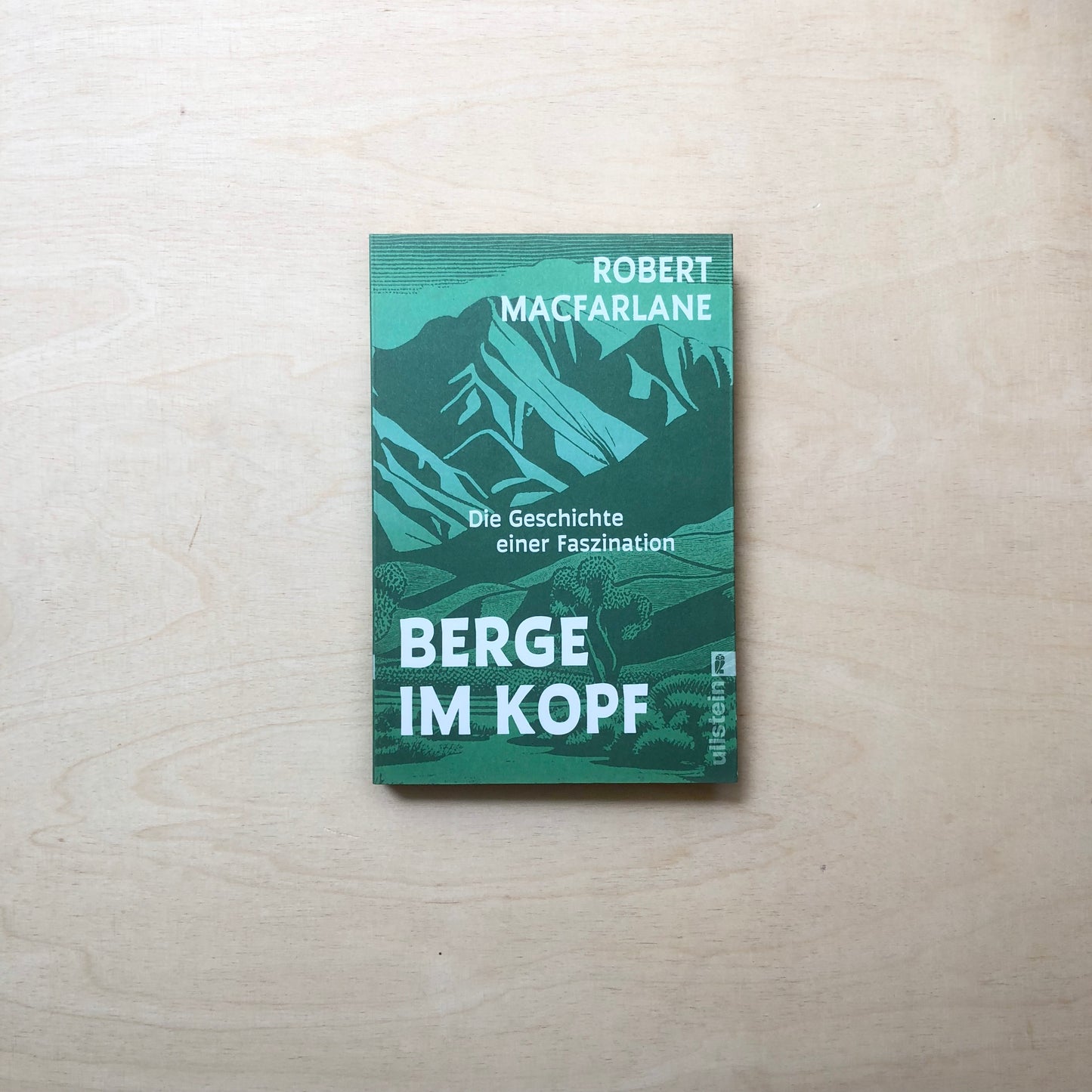 Berge im Kopf - Geschichte einer Faszination