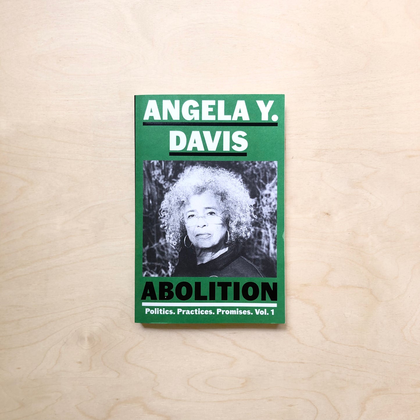 Abolition: Politics, Practices, Promises, Vol. 1