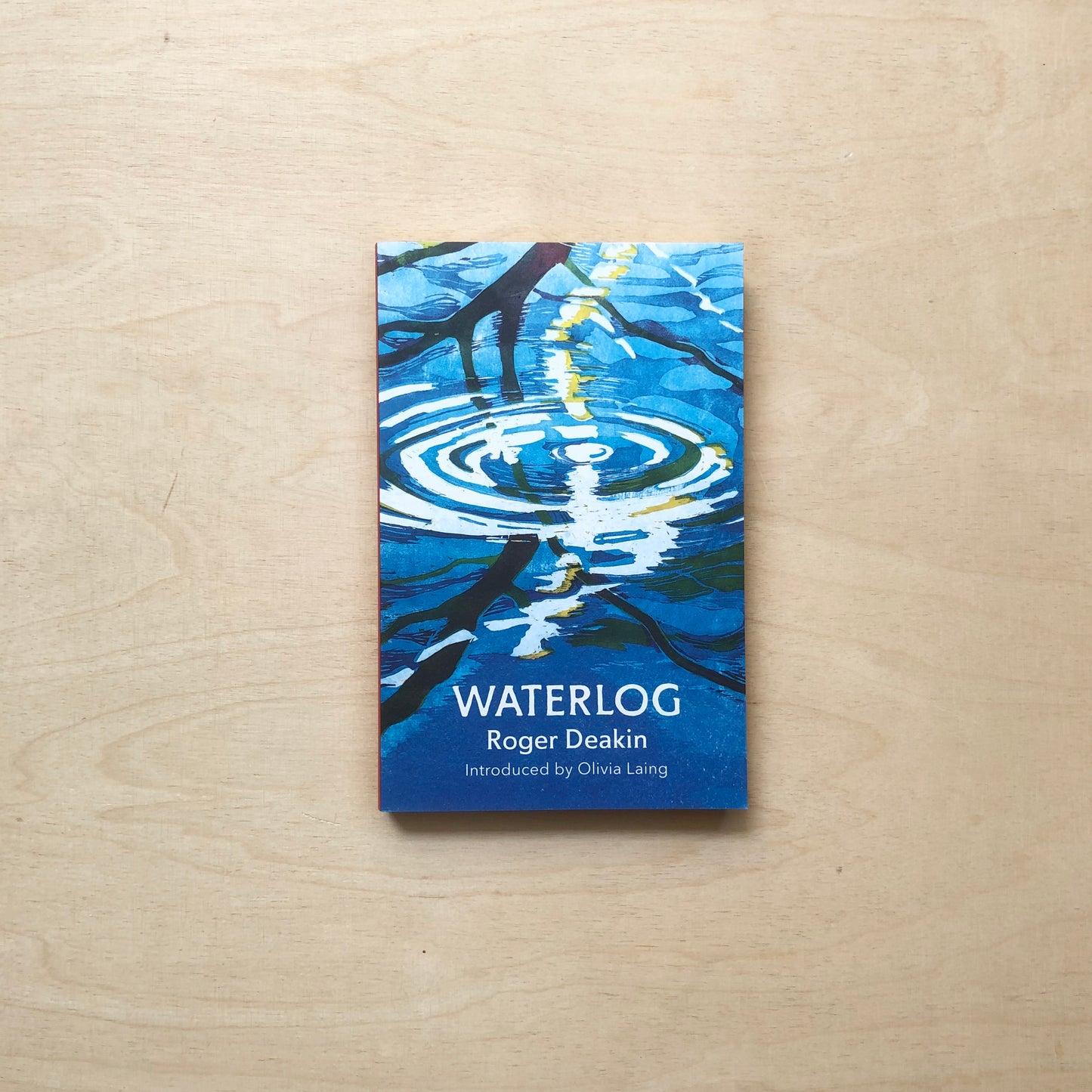 Waterlog: A Swimmer's Journey Through Britain