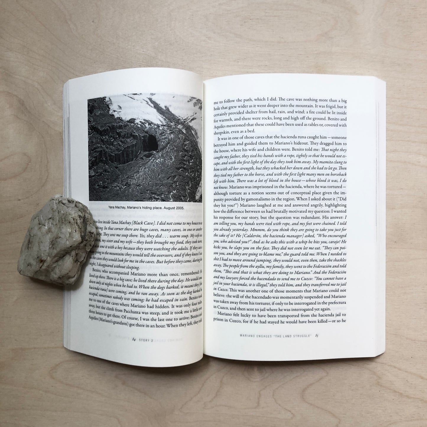 Earth Beings: Ecologies of Practice across Andean Worlds