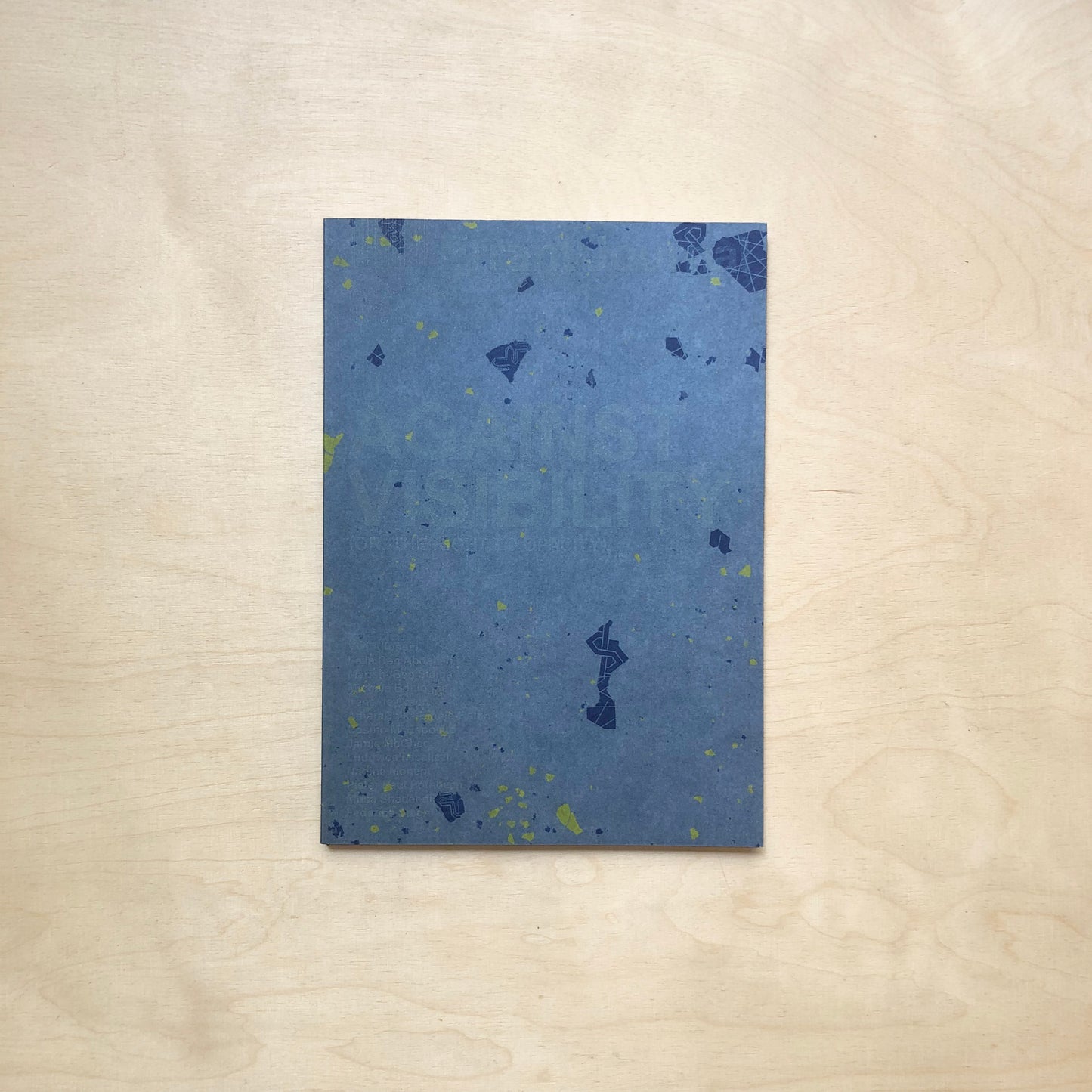 Errant Journal #8 - Against Visibility (Or, the Right to Opacity)