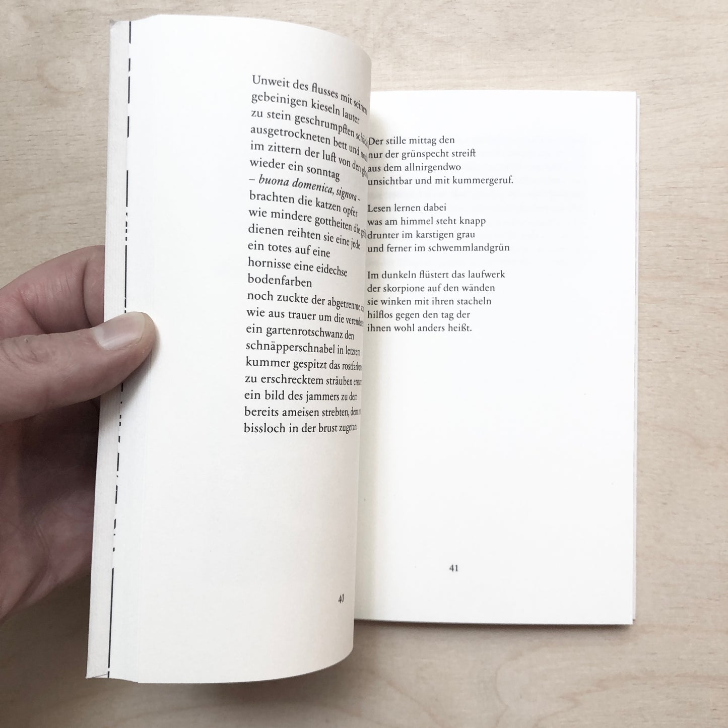 FlussLand Tagliamento