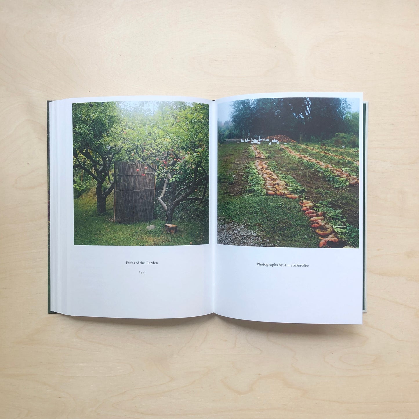 Garden and Metaphor - Essays on the Essence of the Garden