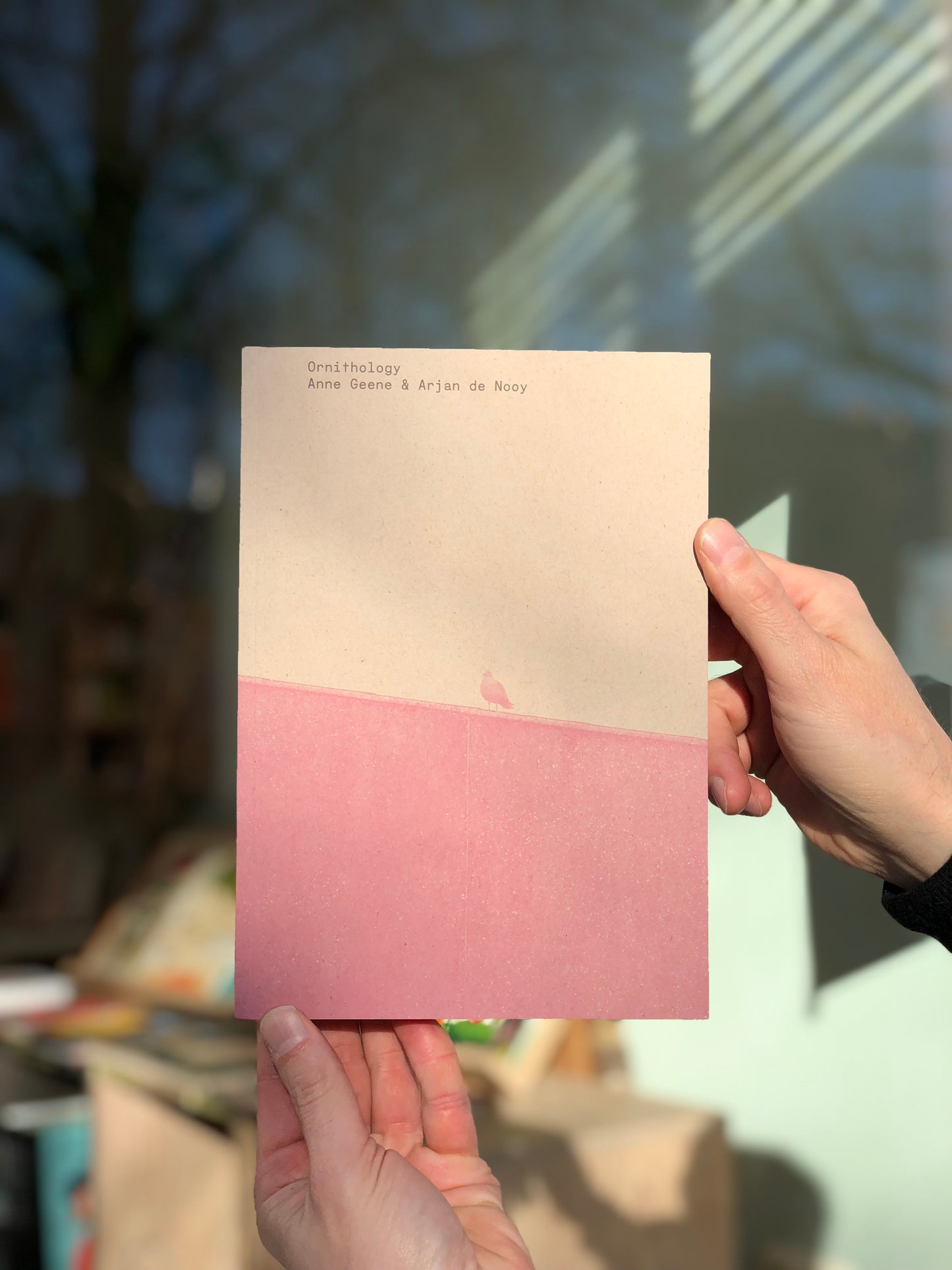 Anne Geene & Arjan De Nooy - Ornithology (new edition)