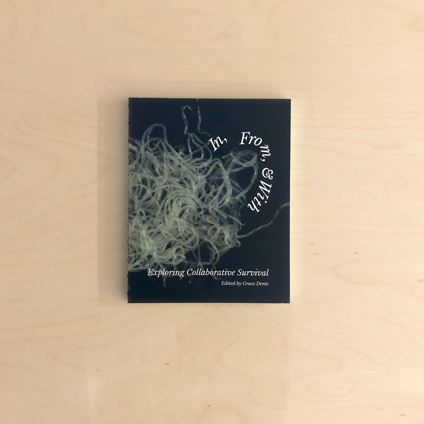 In, From, and With - Exploring Collaborative Survival