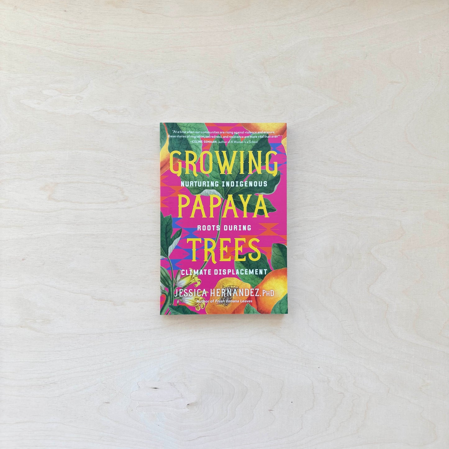 Growing Papaya Trees - Nurturing Indigenous Roots During Climate Displacement