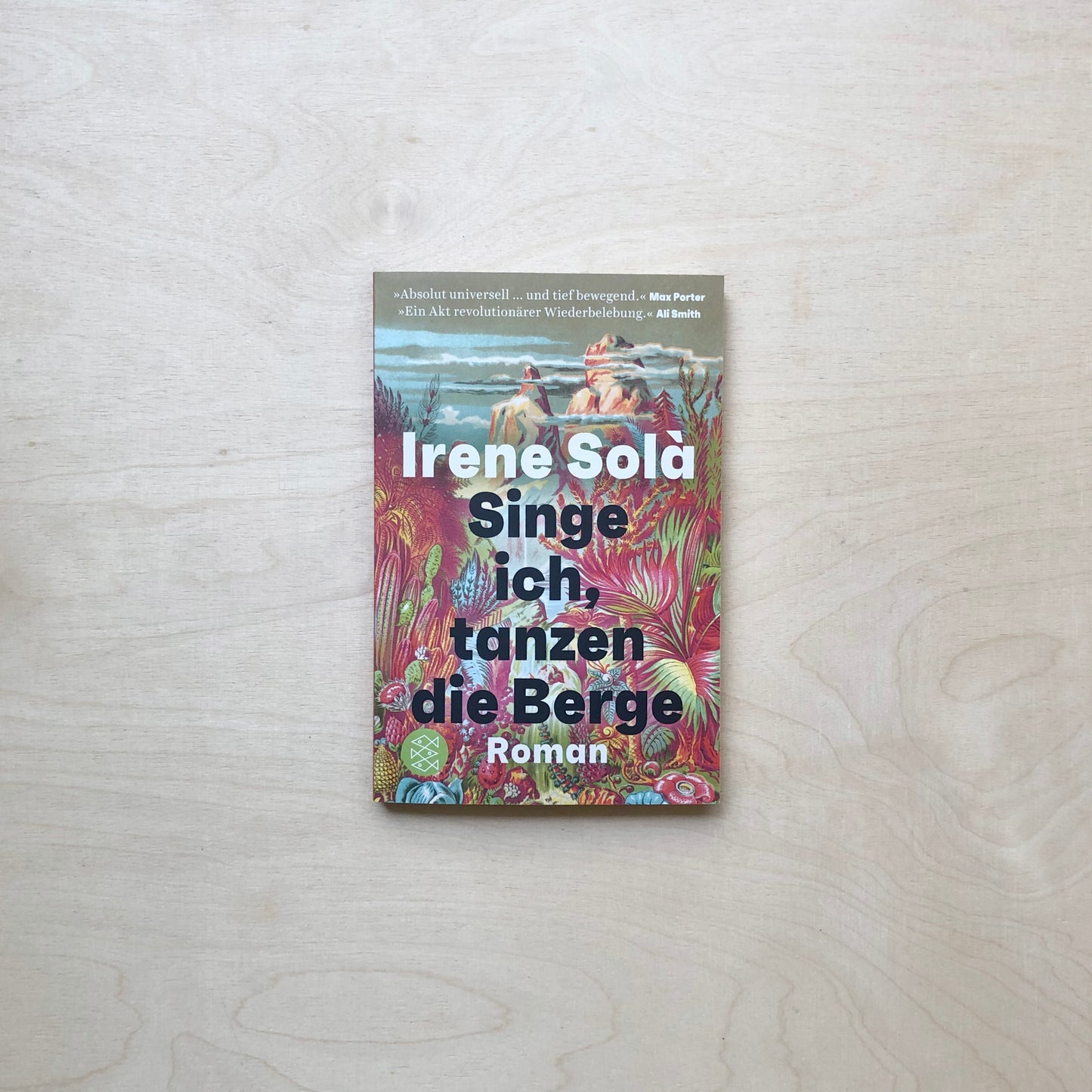 Singe ich, tanzen die Berge - Taschenbuch