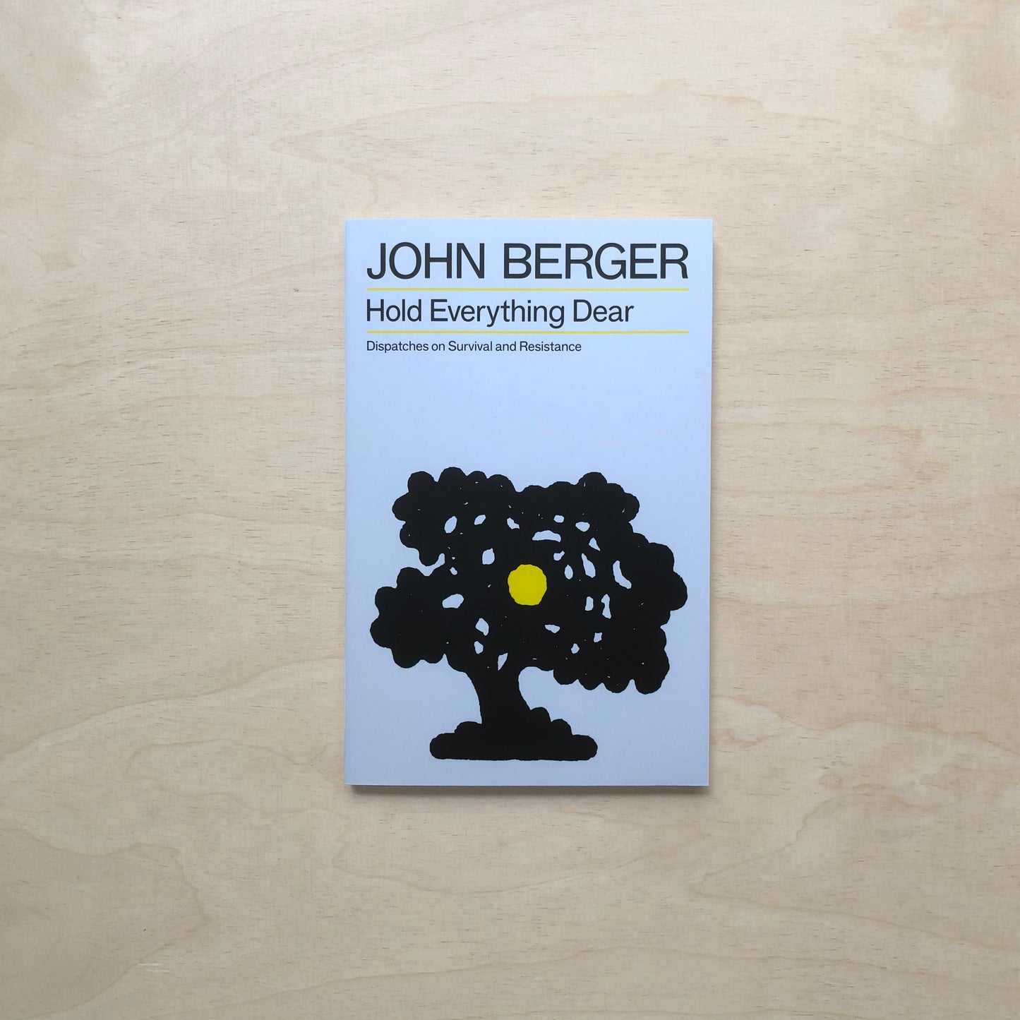 Hold Everything Dear: Dispatches on Survival and Resistance