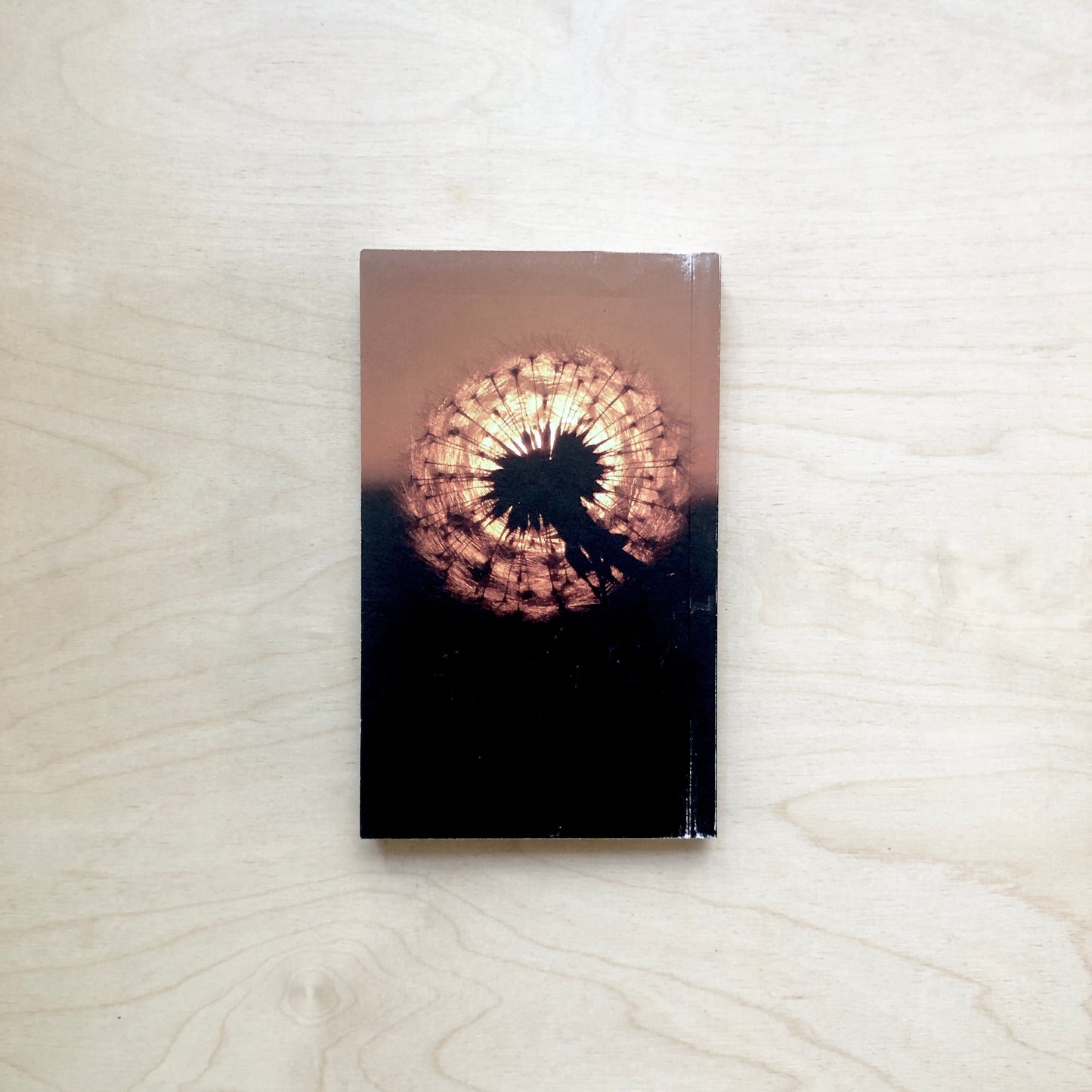 Leaves from the Albion Library: A Gathering of Folklore Tapes Essays