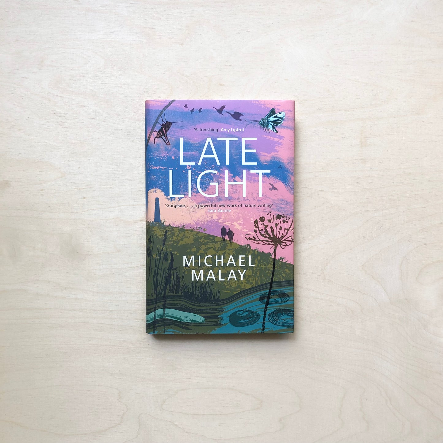 Late Light (Winner of Wainwright Prize 2024)