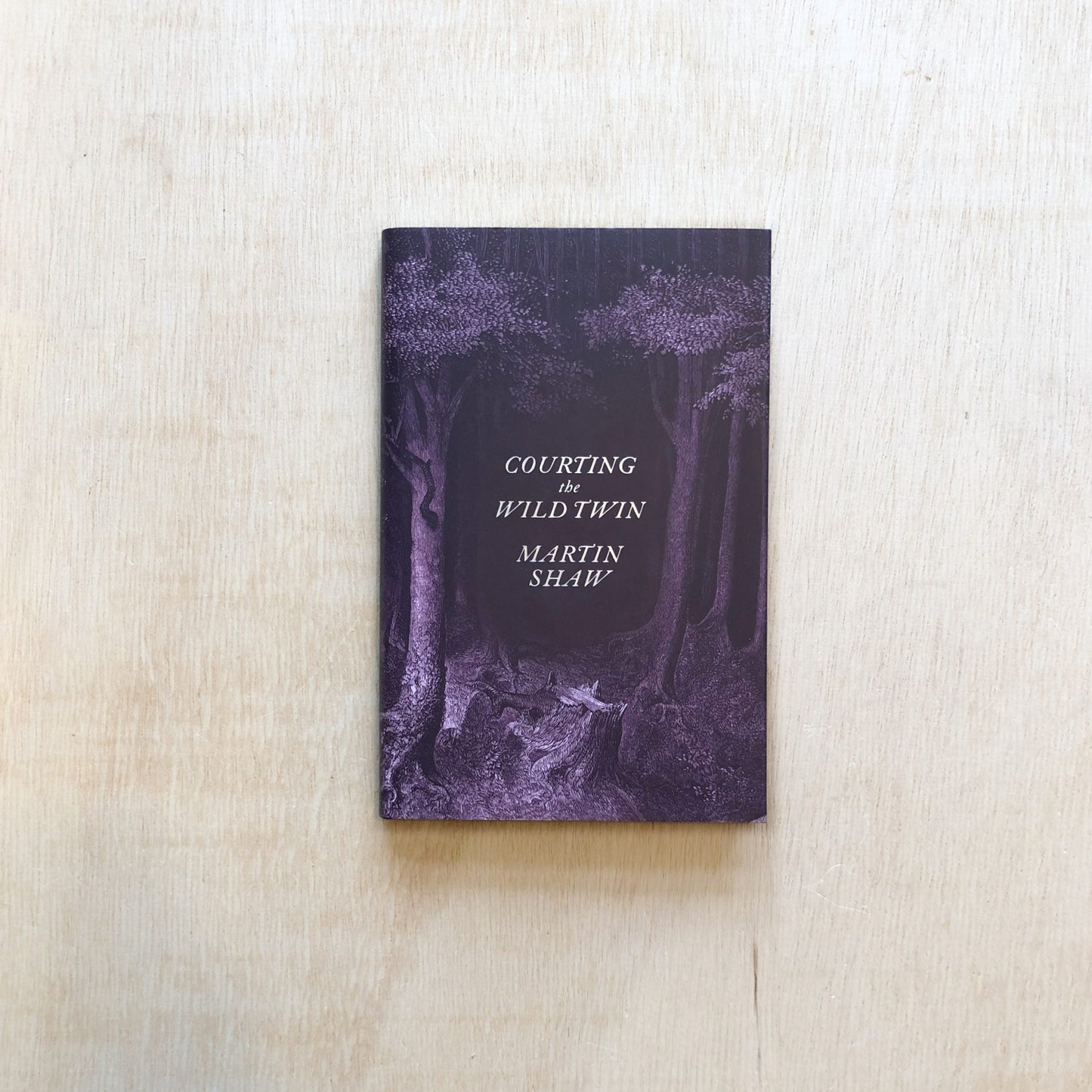 Courting the Wild Twin - Paperback