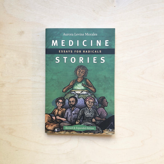 Medicine Stories - Essays for Radicals