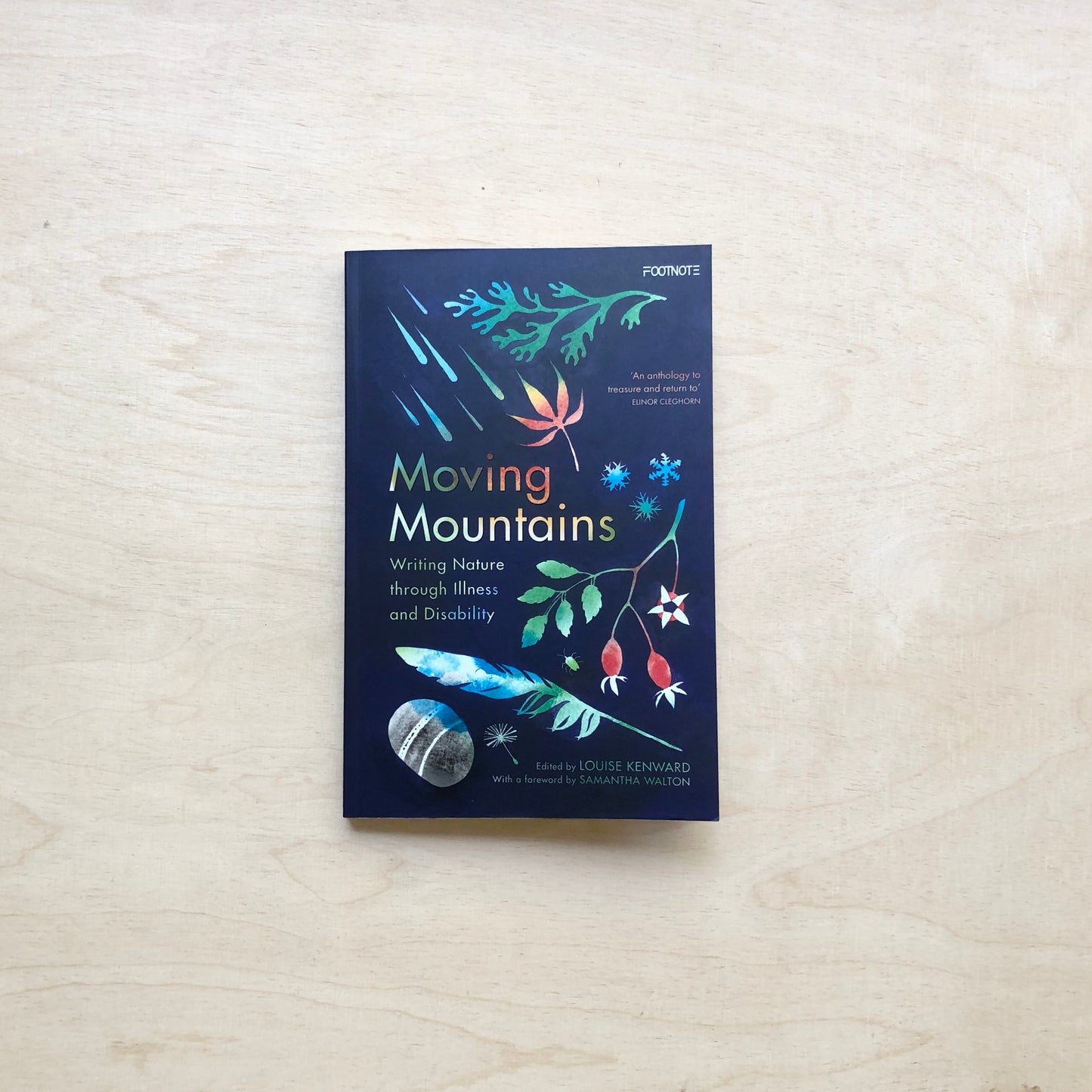 Moving Mountains - Writing Nature through Illness and Disability