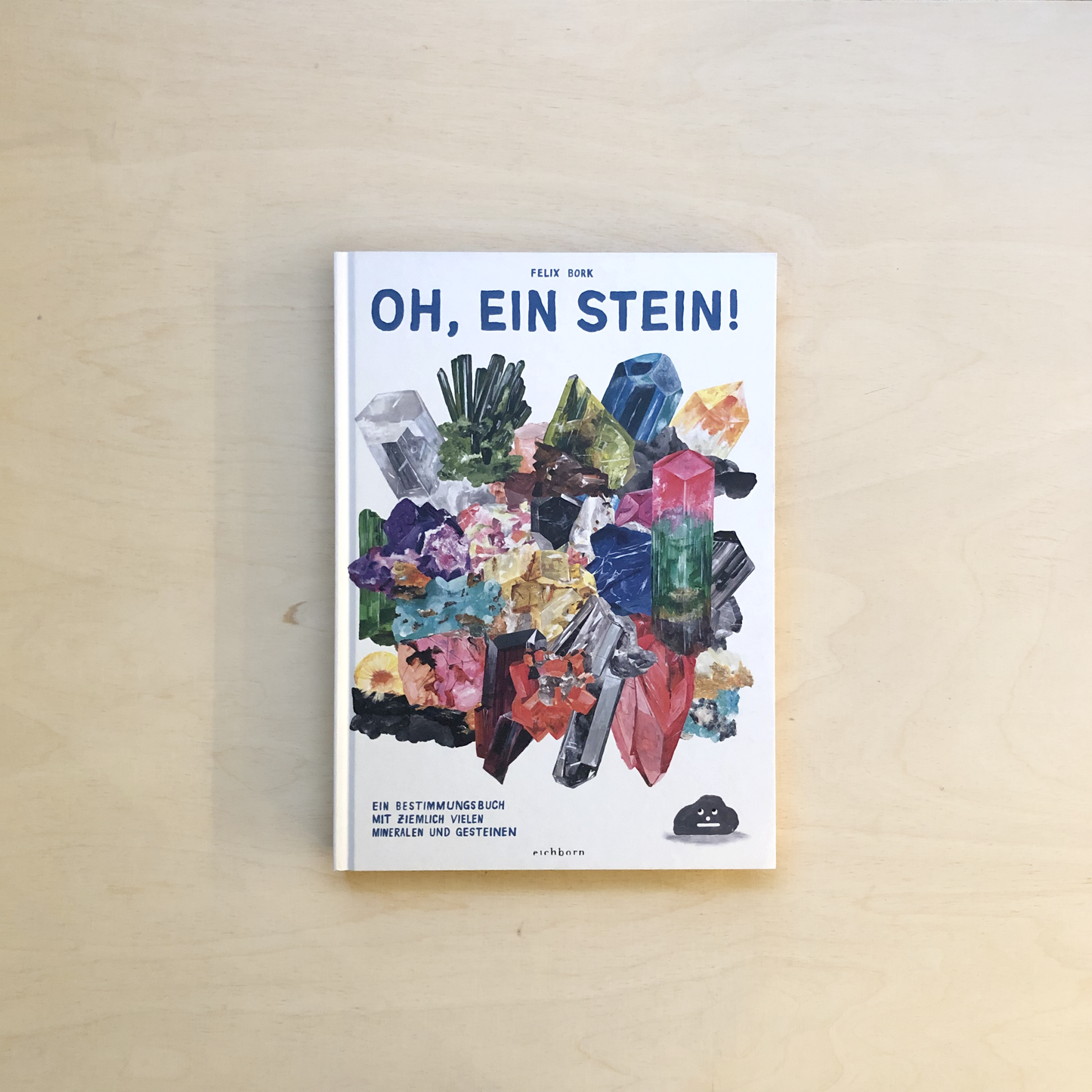 Oh, ein Stein! - Bestimmungsbuch. Mit ziemlich vielen Mineralen und Gesteinen
