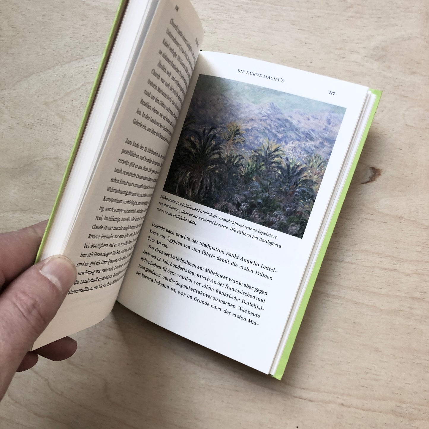 Palmen - Ein Portrait