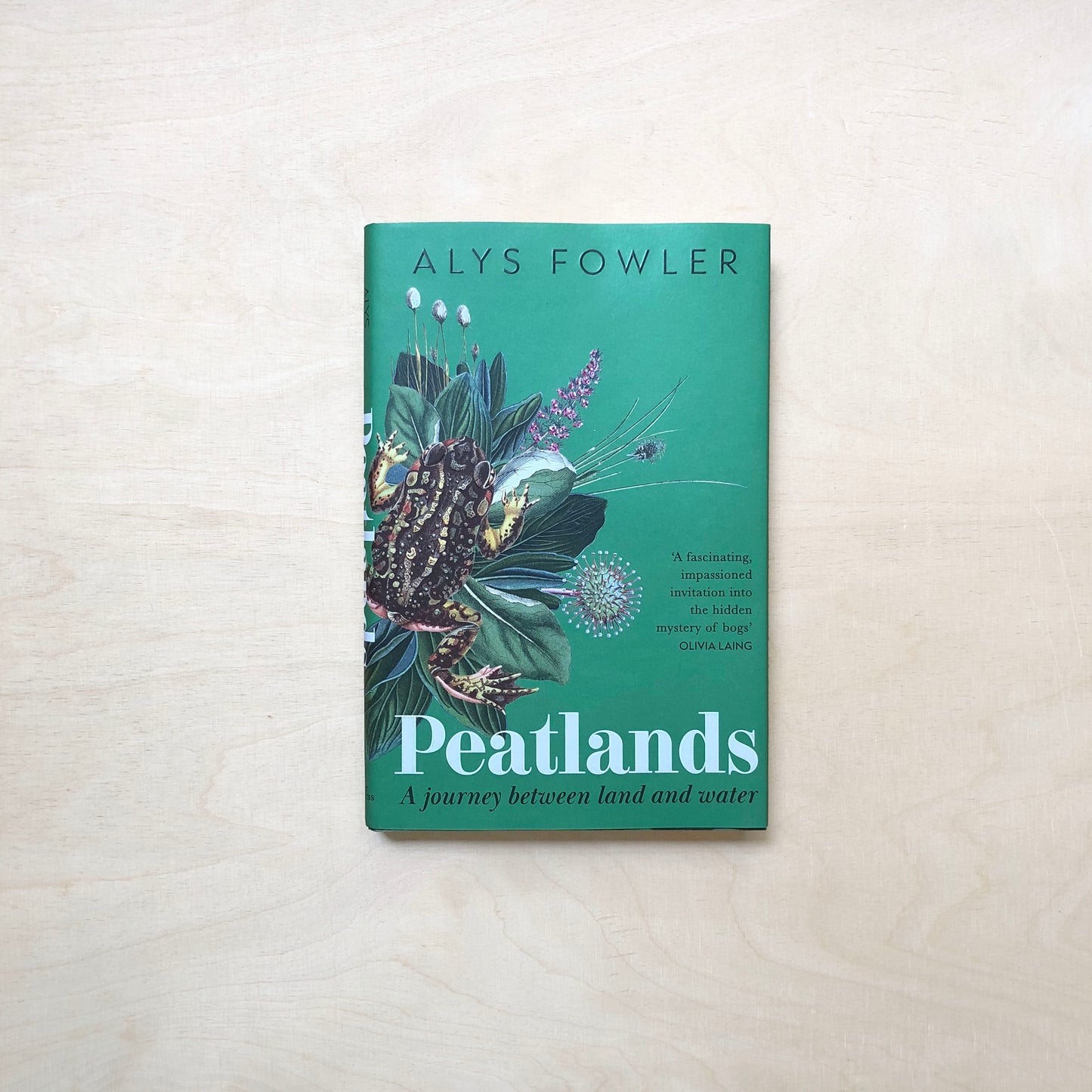 Peatlands - A journey between land and water